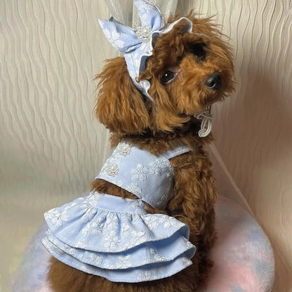 Pet Spring Clothing Jumpsuit Cat Princess Embroidered Dress Hat Birthday Small Dog Teddy Bear Pet Clothing