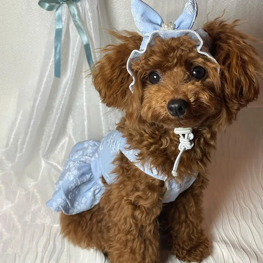 Pet Spring Clothing Jumpsuit Cat Princess Embroidered Dress Hat Birthday Small Dog Teddy Bear Pet Clothing