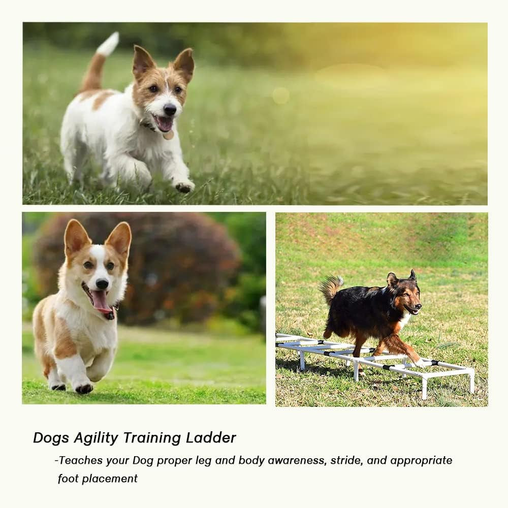Dogs Agility Training Ladder, Pets Agility Training Equipment, Pet Outdoor Game