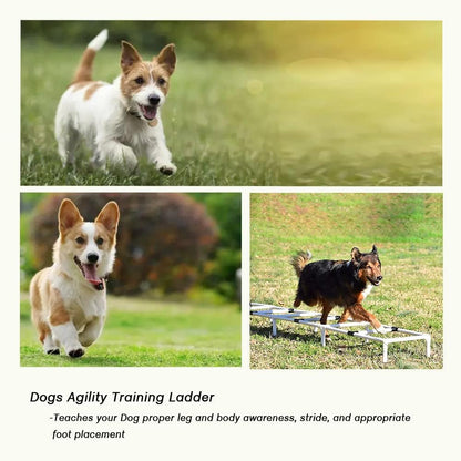 Dogs Agility Training Ladder, Pets Agility Training Equipment, Pet Outdoor Game