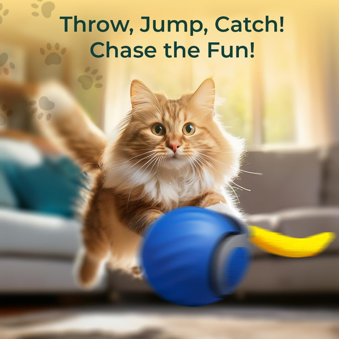 Interactive Cat Toy - Interactive Dog Toys, Automatic Cat Toy, USB Rechargeable, Suitable for Indoor and Outdoor - Moving Dog Toy, Cat Toys Interactive Speedy Tail 3.0 (Blue)