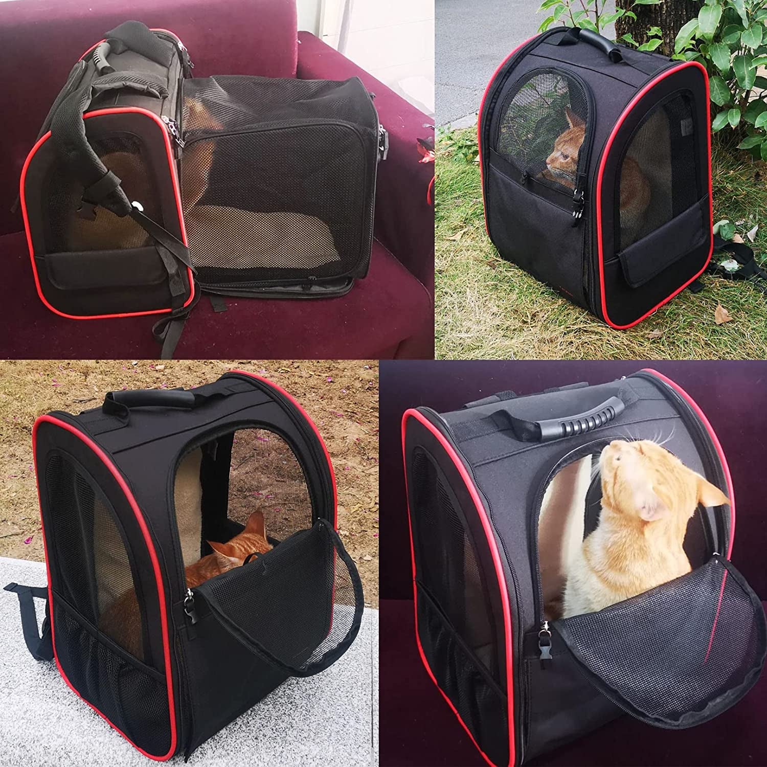 Cat Carrier Backpack,Expandable Cat Travel Carrier with Safety Strap and Zipper Buckle,Collapsible Pet Carrier Backpacks for Small Dog,Cat,Breathable Puppy Carrier Backpack for Hiking Camping Outdoor