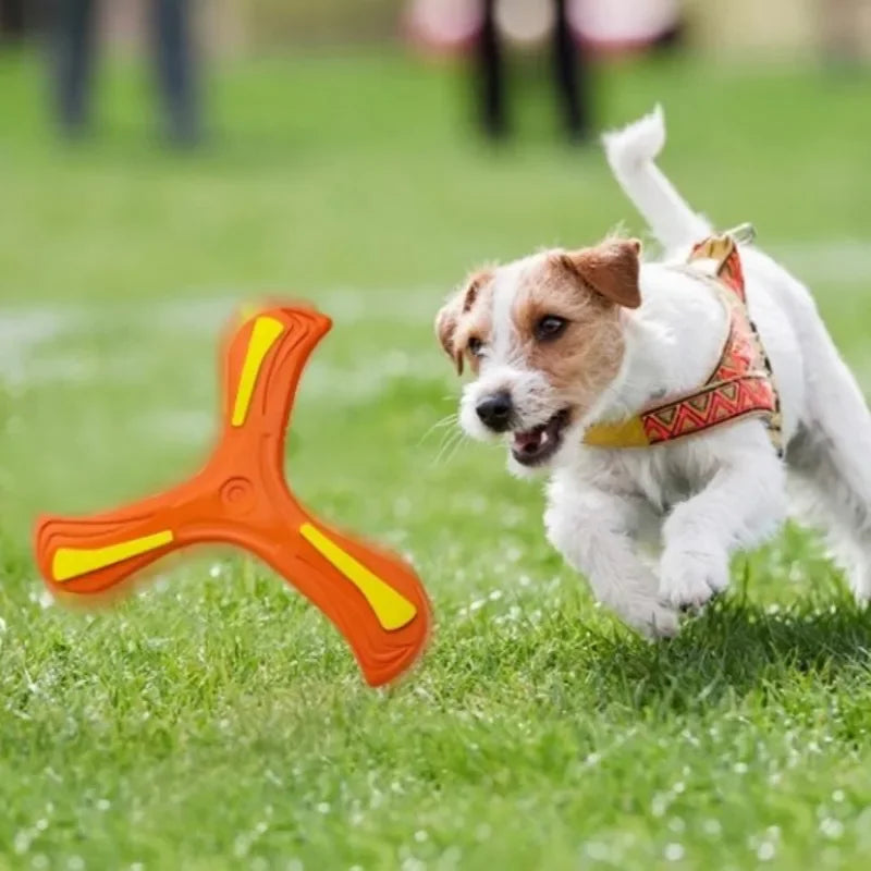 1-20PCS Dog Pet Disc Toys Outdoor Triangle Boomerang Toys Flying Disc Family Pet Interactive Entertainment Sports Games