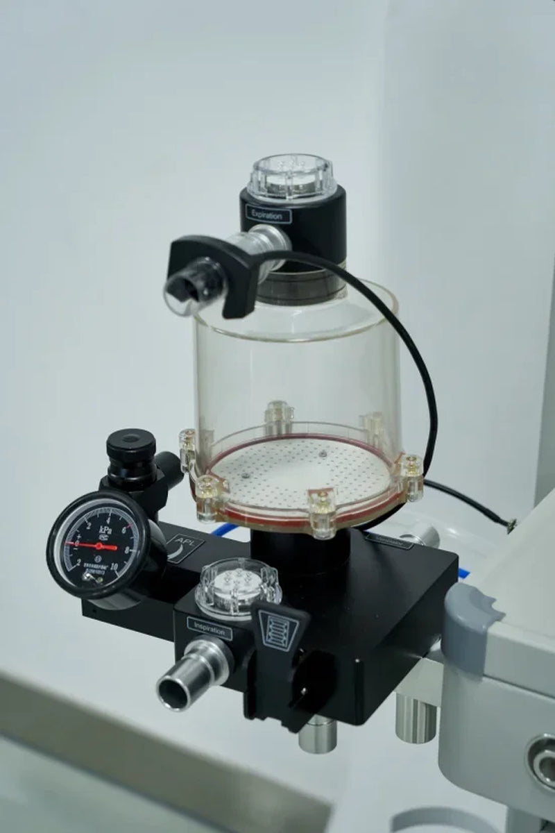 PA1200V7 Animal Anaesthesia Machine Anaesthesia Equipment Pet Ventilator Anaesthesia Workstation Pet Hospital Special Equipment