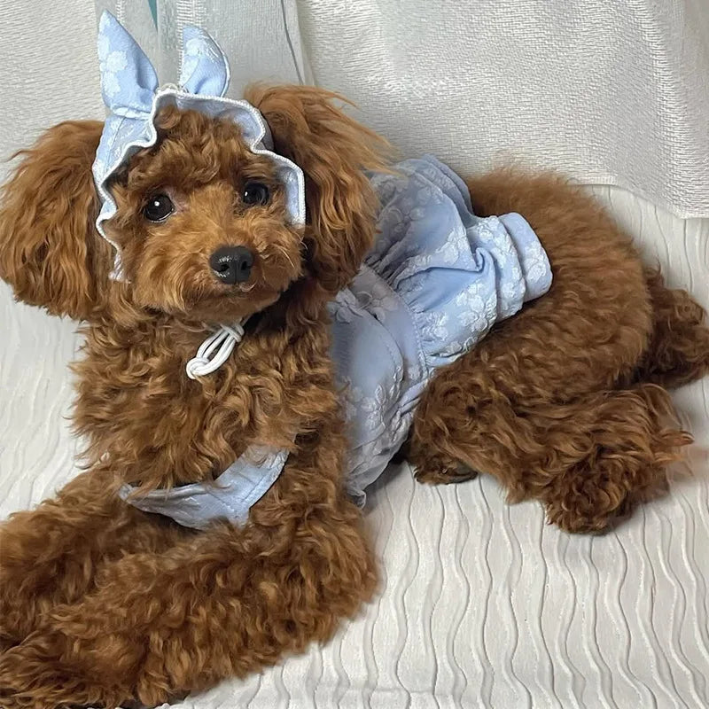Pet Spring Clothing Jumpsuit Cat Princess Embroidered Dress Hat Birthday Small Dog Teddy Bear Pet Clothing