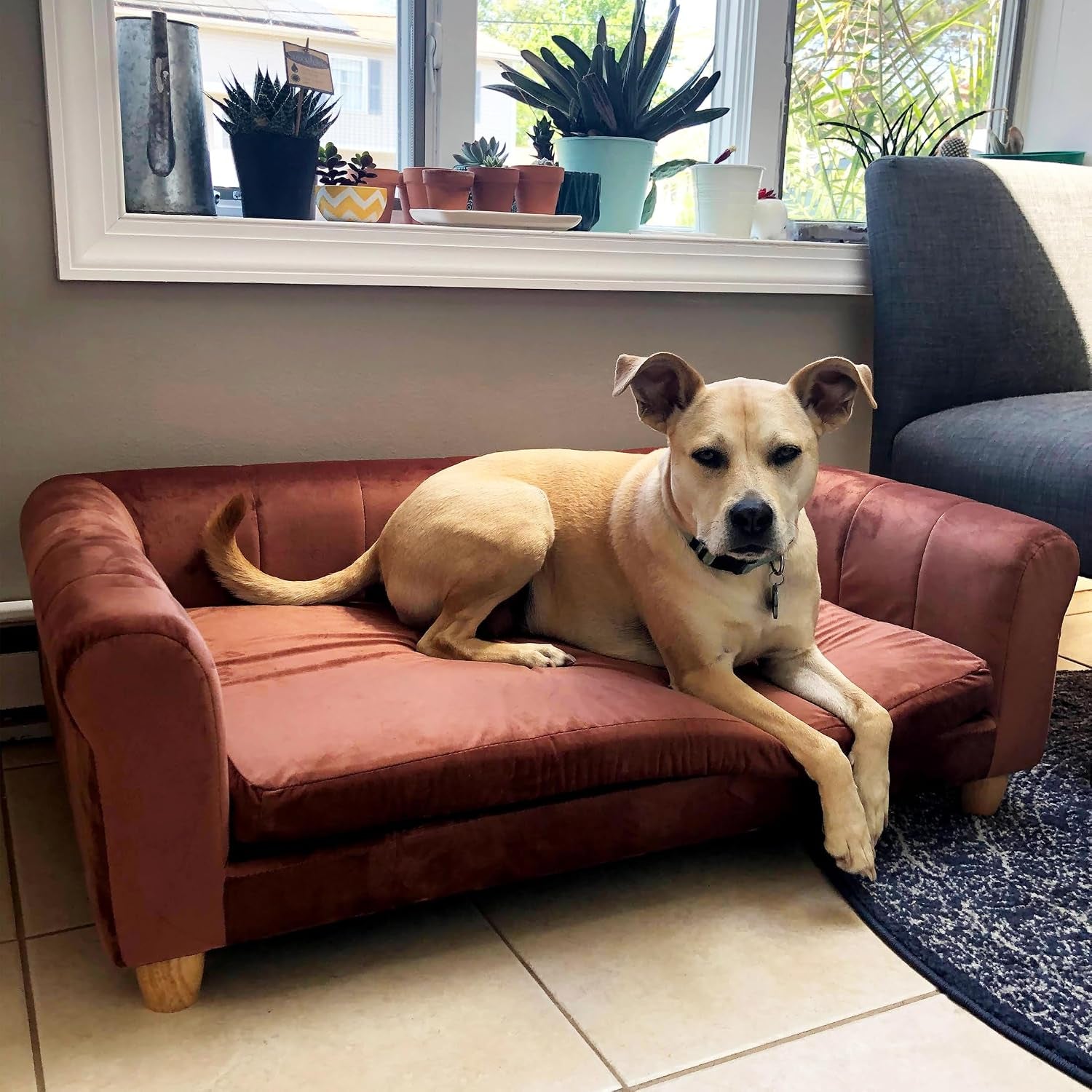 42-In. Elegant Brown Faux-Velvet Rectangular Dog Sofa for Medium and Large Dogs, Elevated Plush Dog Couch