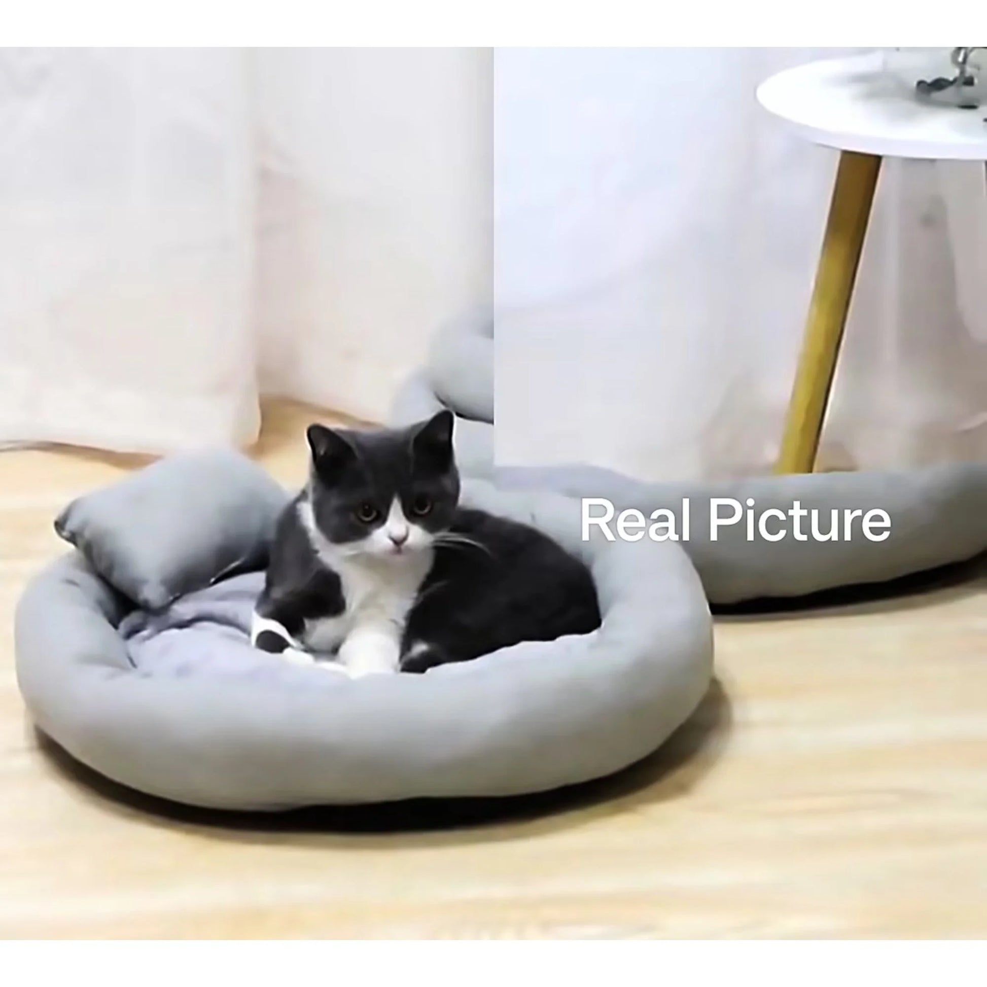 Calming Cat Beds with Pillow for Small Medium Dogs and Cats, round Dog Puppy Cuddler Cozy Bed, Washable Fluffy Plush Pet Bed Thickened Dog Kennel Mat for Puppy Sleeping, S 40CM
