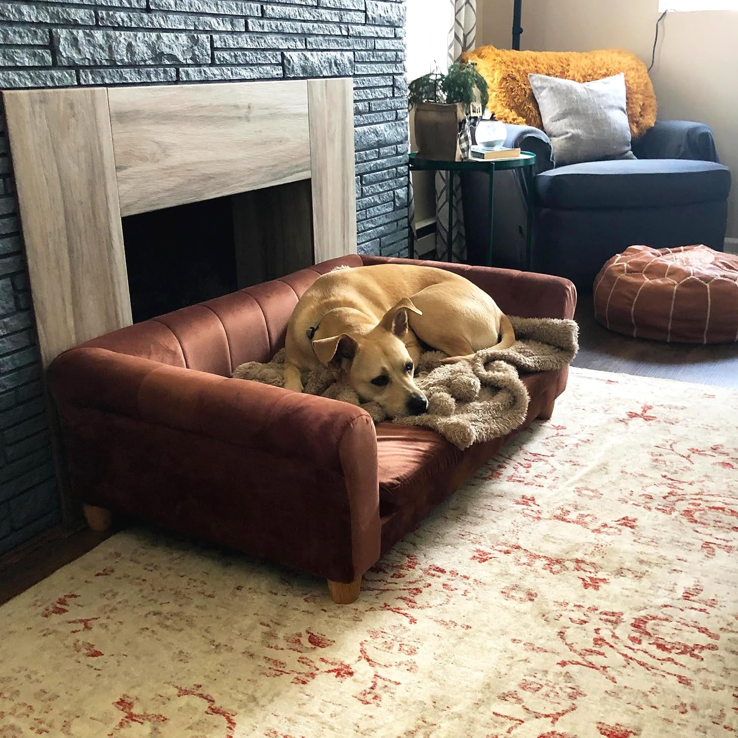42-In. Elegant Brown Faux-Velvet Rectangular Dog Sofa for Medium and Large Dogs, Elevated Plush Dog Couch