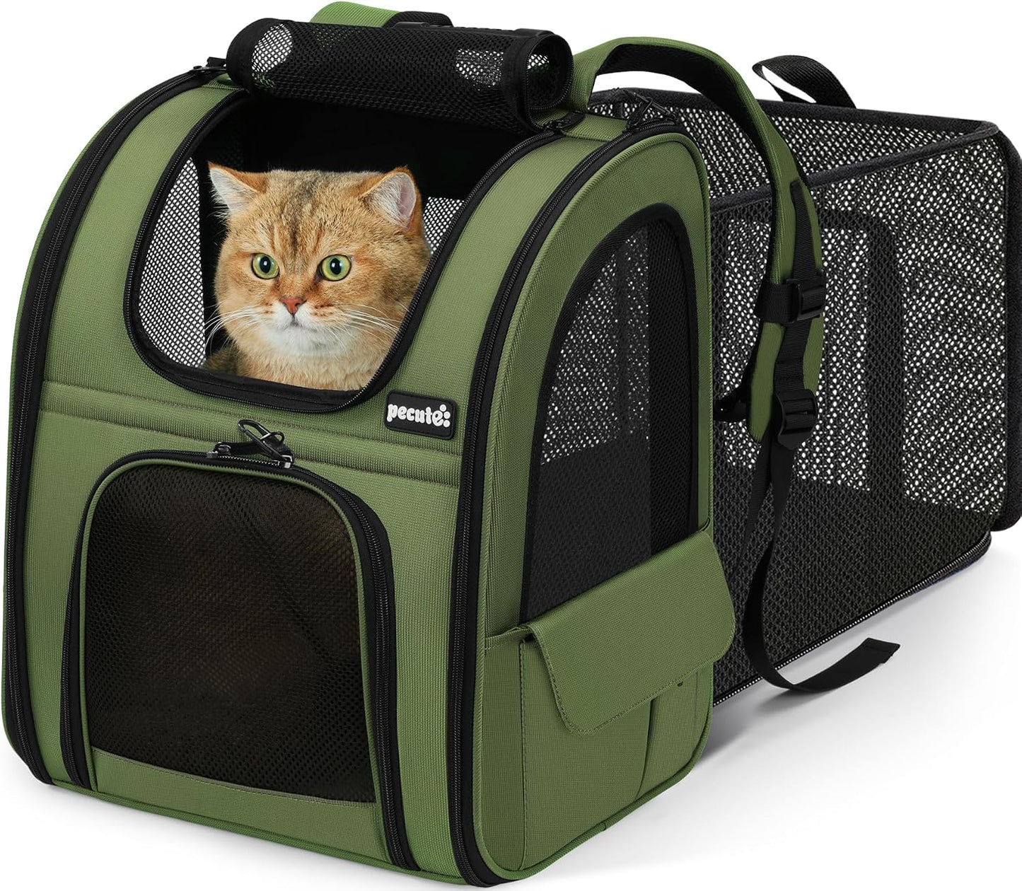 Pet Backpack Expandable, Cat Carrier Backpack with Breathable Window